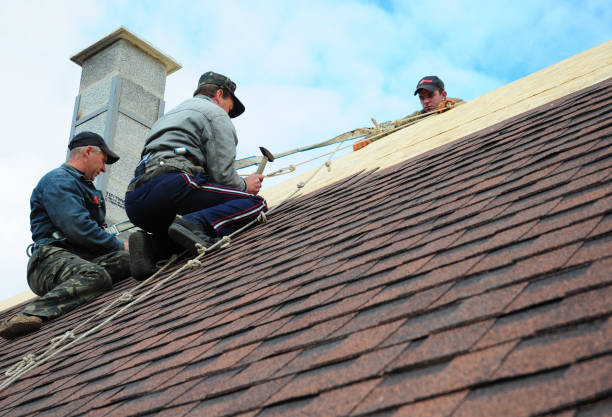 Best Storm Damage Roof Repair  in Lakeland, TN