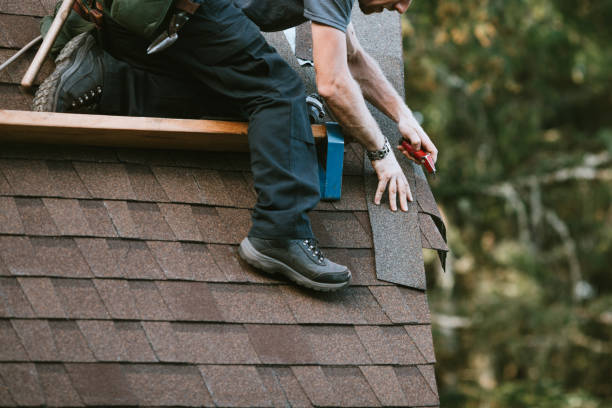 Gutter Installation and Roofing in Lakeland, TN